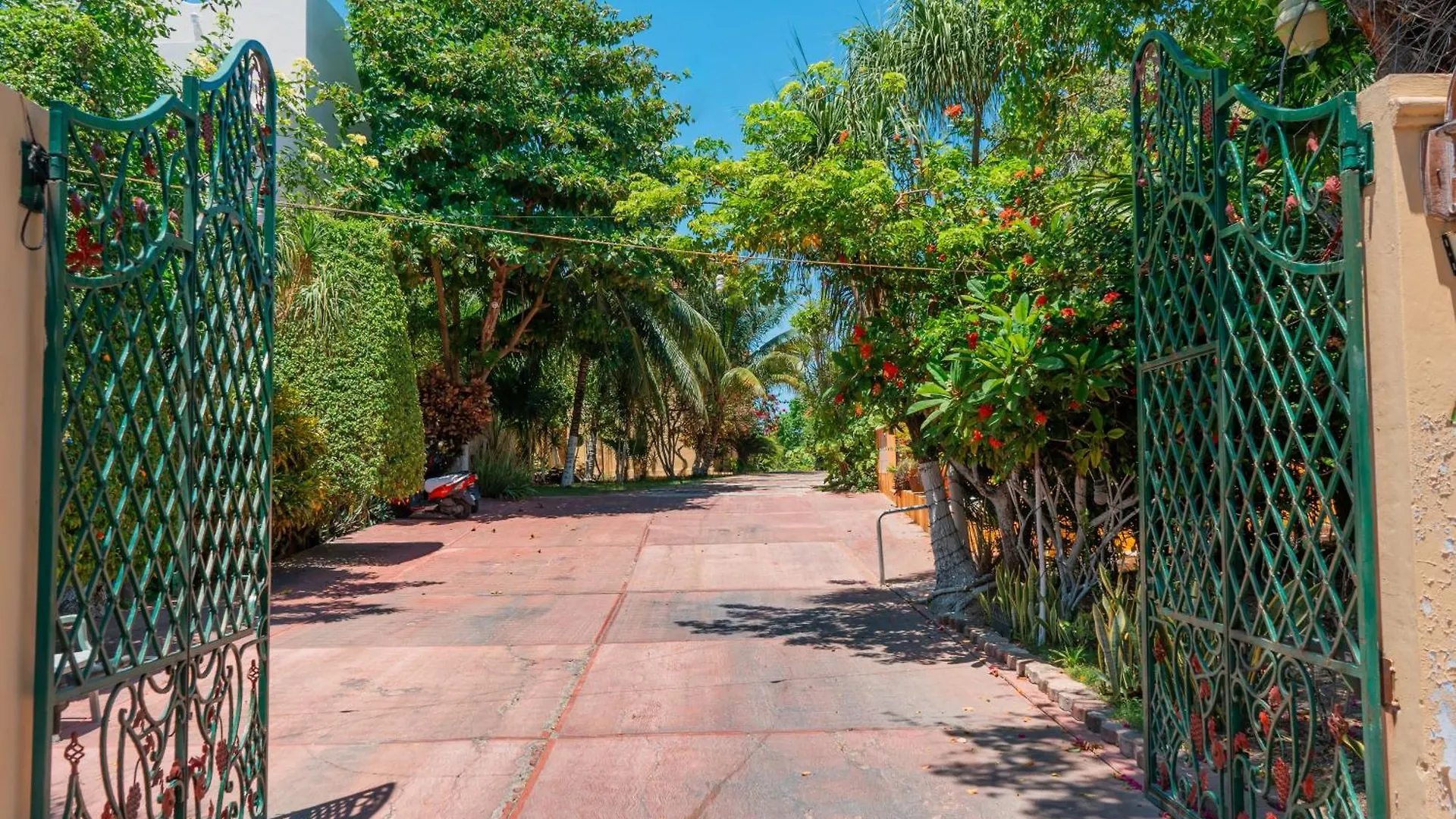 Villa Pajaros Isla Mujeres Apartment