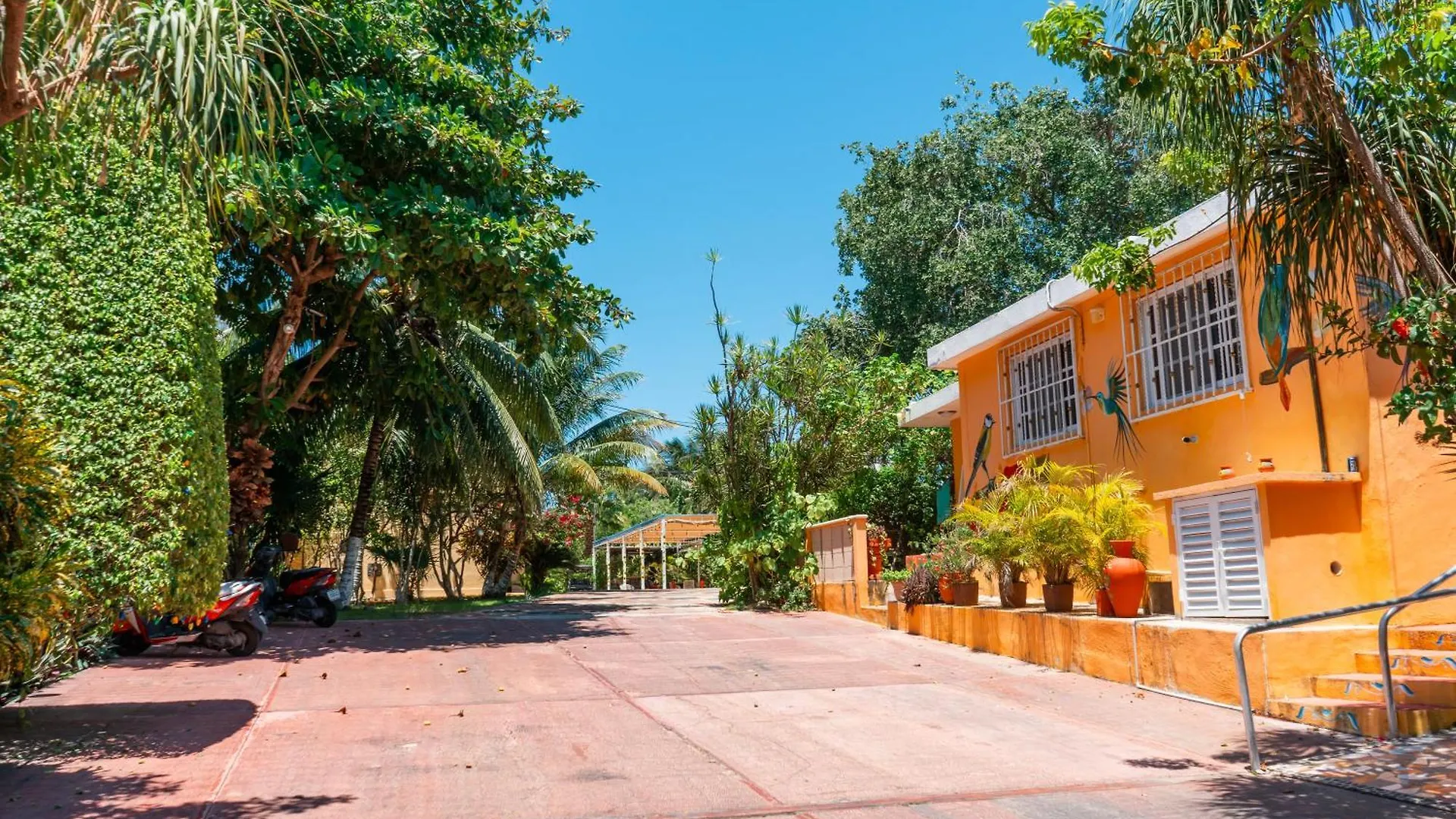 Villa Pajaros Isla Mujeres